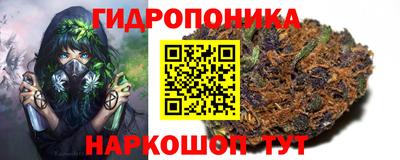 ГАЛЛЮЦИНОГЕННЫЕ ГРИБЫ Малгобек