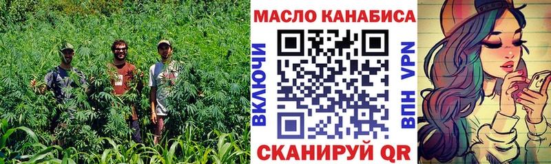 маркетплейс клад  Камышин  Дистиллят ТГК THC oil 