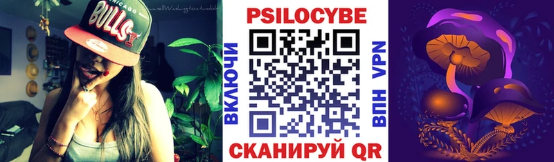 что такое   Камышин  Галлюциногенные грибы MAGIC MUSHROOMS 