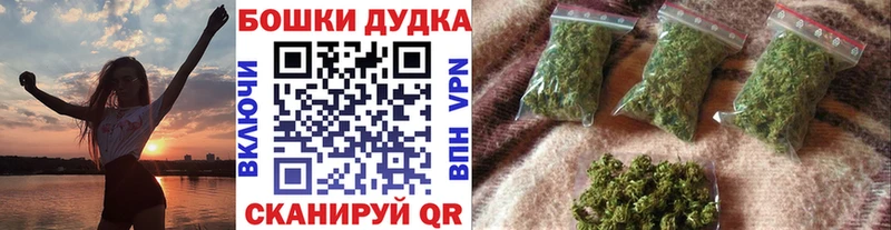 где купить наркотик  Камышин  Канабис SATIVA & INDICA 